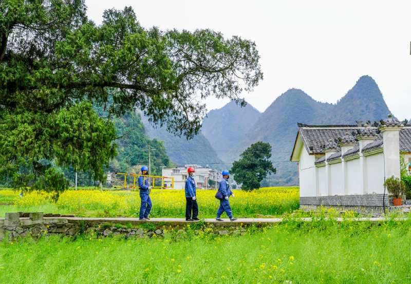 平塘供電局：“網(wǎng)格化”服務(wù)，護(hù)航“菜籃子”