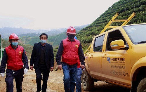 平塘供電局：“加減法”同構(gòu)服務(wù)，護(hù)航“貴州春茶第一壺”