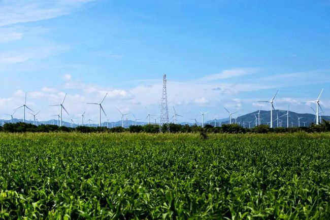 收購(gòu)墨西哥818MW光伏電站，國(guó)家電投境外光伏電站裝機(jī)超6GW