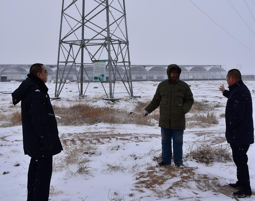 二連浩特供電公司：開展客戶側(cè)安全檢查，確?？诎犊蛻粝楹兔髁吝^春節(jié)