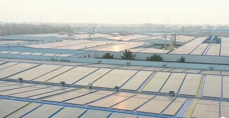 投資達9億！山東寒亭區(qū)447MW整縣分布式光伏項目正式啟動
