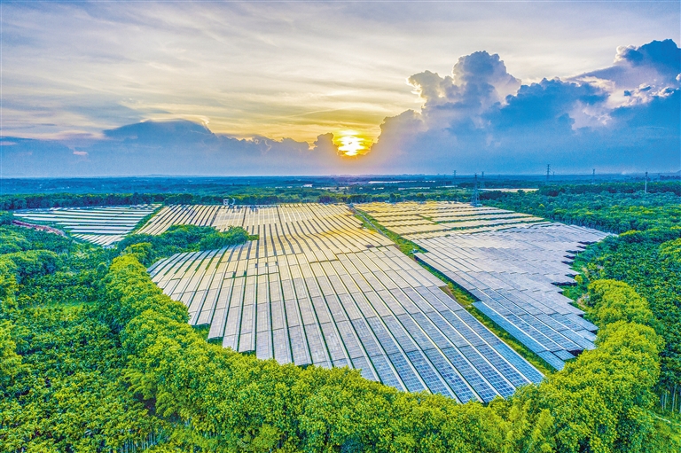 海南電網(wǎng)公司加快構(gòu)建現(xiàn)代供電服務(wù)體系，驅(qū)動(dòng)鄉(xiāng)村振興電力引擎