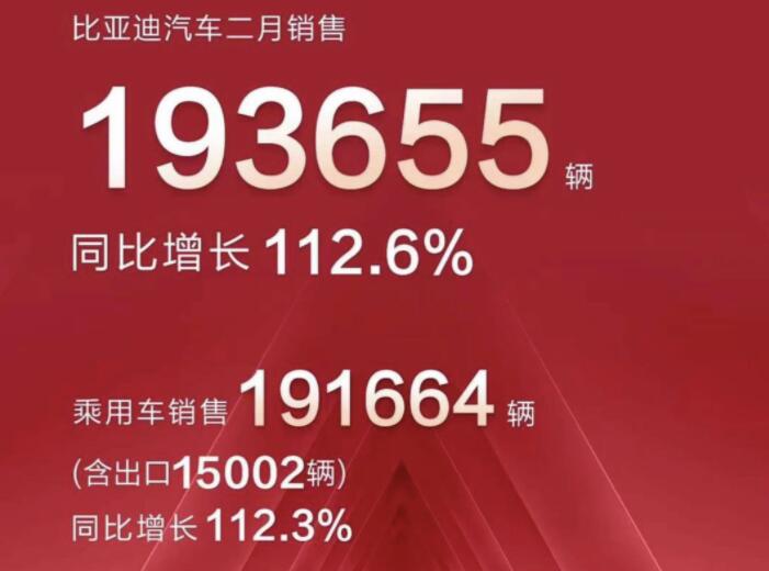 2月新能源車企成績單出爐，比亞迪一騎絕塵