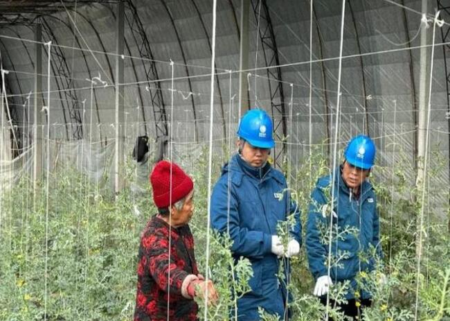 山東惠民供電公司：走訪種植大棚，優(yōu)化農(nóng)業(yè)營商環(huán)境