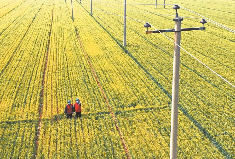 建立服務臺賬，精準了解村民用電需求