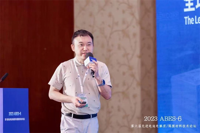 加快實現能源自主，比克鈉電電池展現顯著性能優(yōu)勢