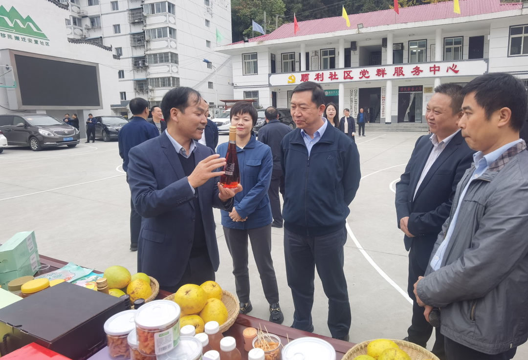 中核集團總經(jīng)理、黨組副書記顧軍赴陜西白河、旬陽調(diào)研鄉(xiāng)村振興工作