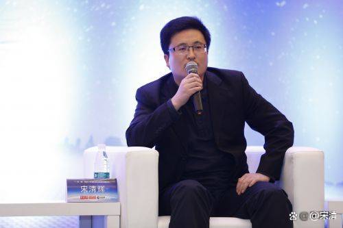 宋清輝：在行業(yè)總體產能過剩的情況下 N型產品價格也受到一定影響