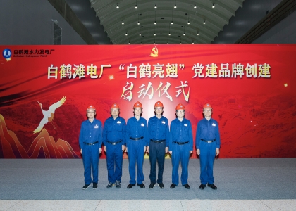 三峽集團一個集體、三名個人榮獲中央企業(yè)“兩優(yōu)一先”表彰