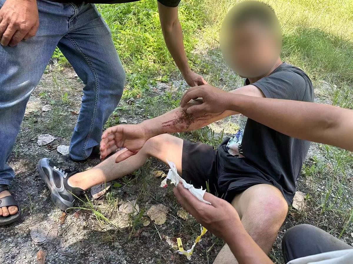 男子私設(shè)電網(wǎng)30余米，沒捕獲獵物卻電傷路人被刑拘