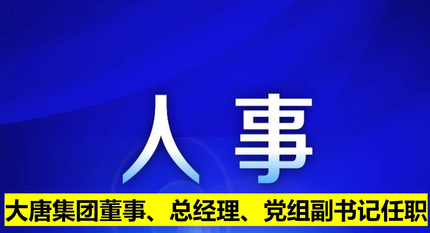 大唐集團董事、總經(jīng)理、黨組副書記任職