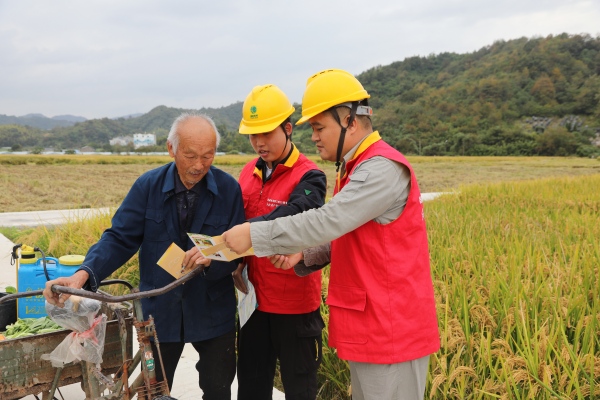 國網(wǎng)臺州市黃巖區(qū)供電公司:初冬巡線護(hù)豐收 為農(nóng)用電添保障